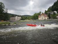 IMG_20240701_110706.jpg